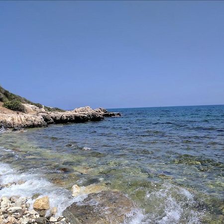 נאו חוריו Villa Chrysanthemum מראה חיצוני תמונה