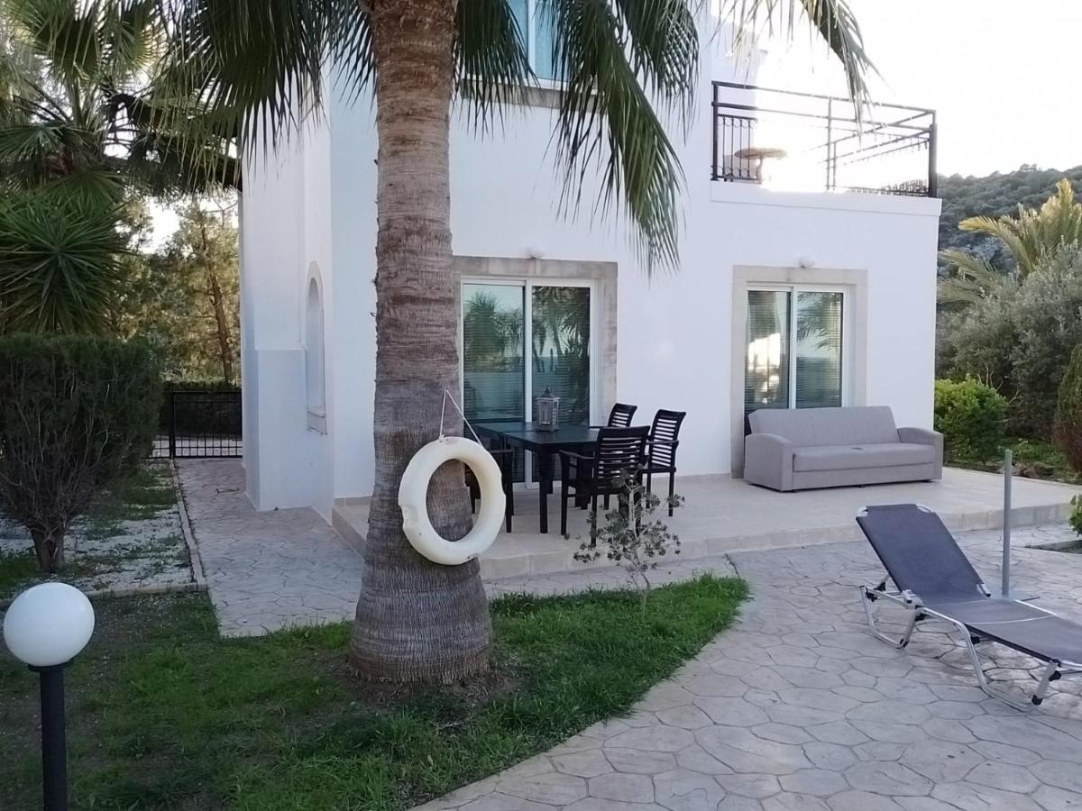 נאו חוריו Villa Chrysanthemum מראה חיצוני תמונה