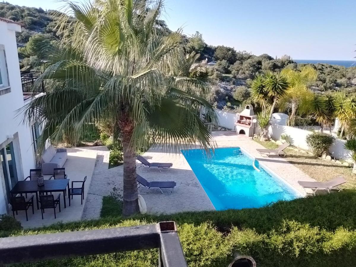 נאו חוריו Villa Chrysanthemum מראה חיצוני תמונה