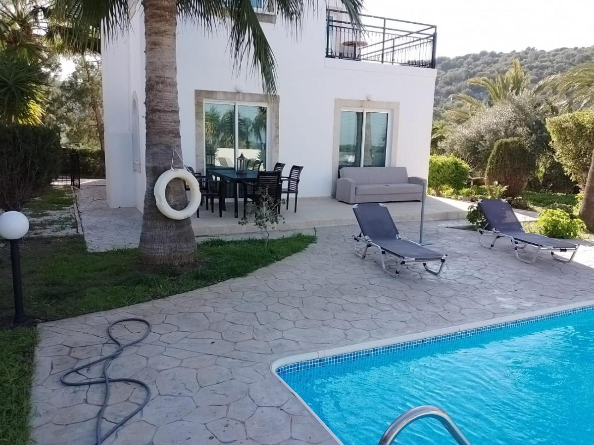 נאו חוריו Villa Chrysanthemum מראה חיצוני תמונה