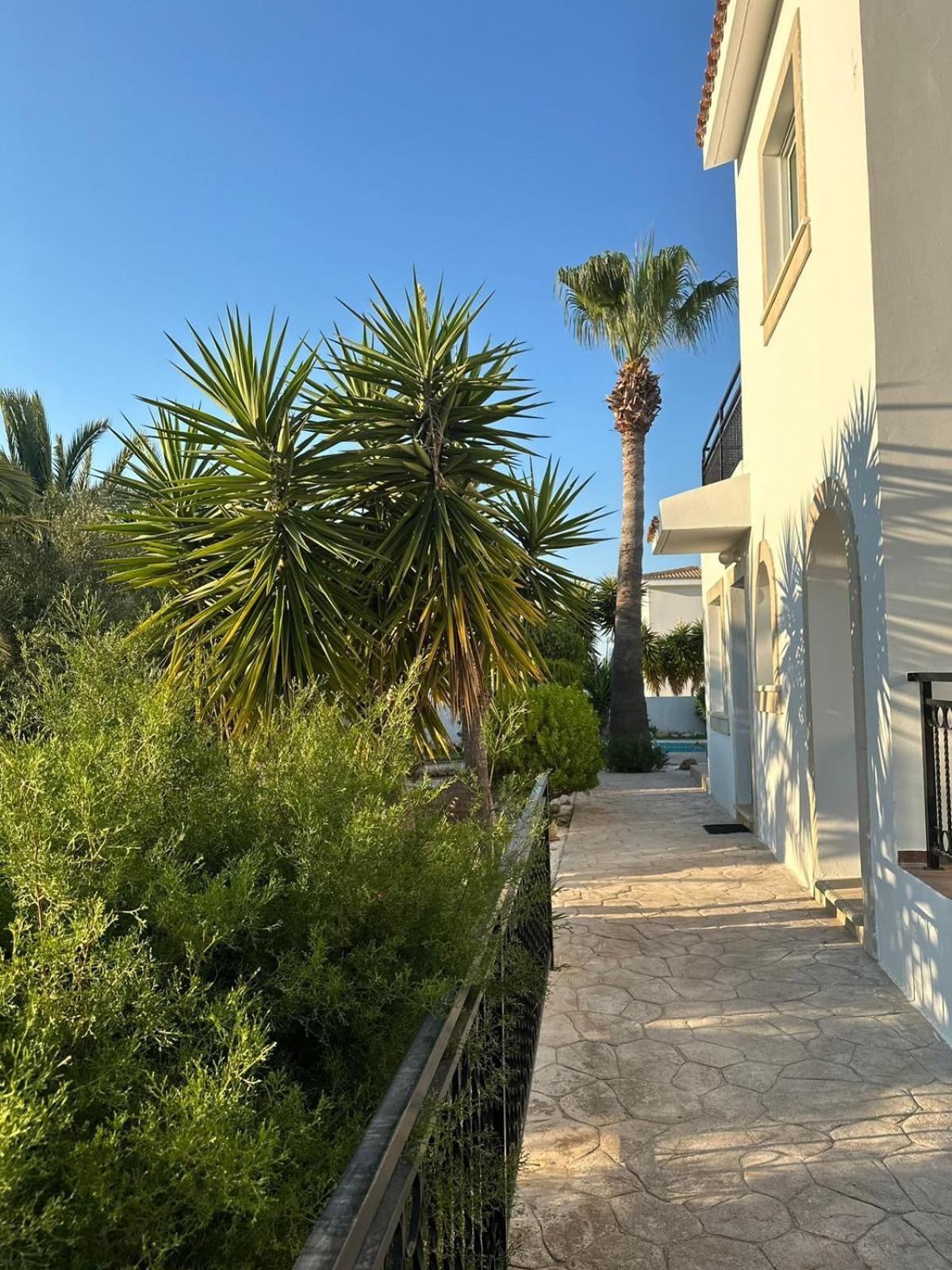 נאו חוריו Villa Chrysanthemum מראה חיצוני תמונה